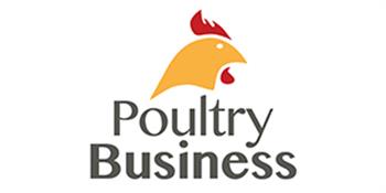 Poultry Business