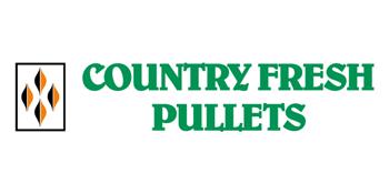 Country Fresh Pullets