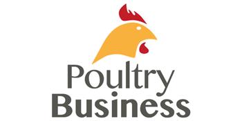 Poultry Business