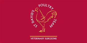 St David's Poultry Team