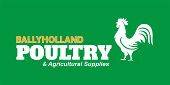 Ballyholland Poultry